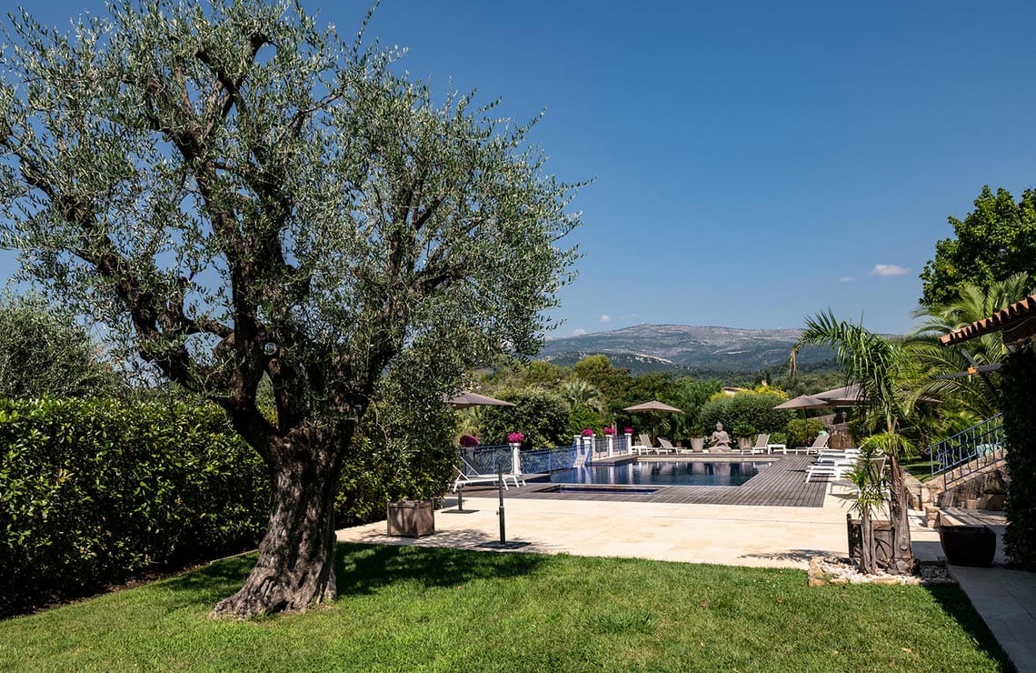 La piscine de Terre de Rêve et ses palmiers